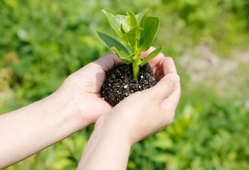 活用方法イメージ